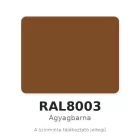 Hatlapfejű lemezcsavar DIN 7504K, 4,8x19, RAL8003/250 db